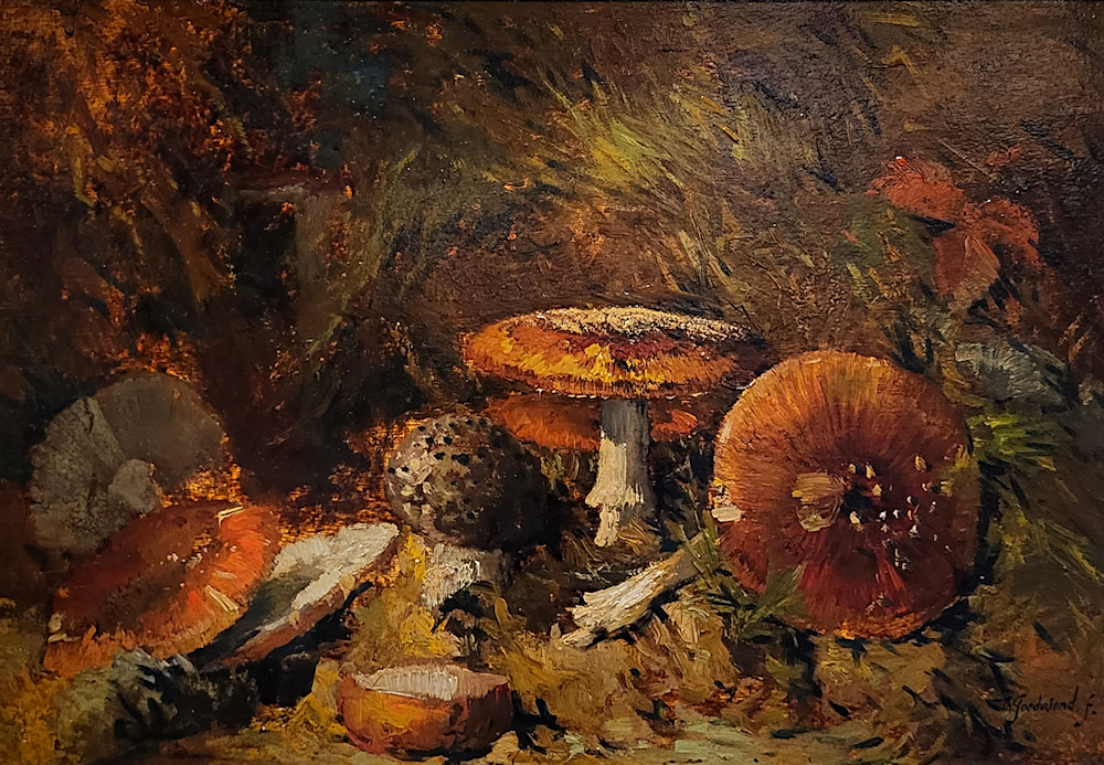 Theo Goedvriend, paddenstoelen, olieverf op paneel, afmeting 40x60cm paneelmaat, 750,- euro, nr. 17