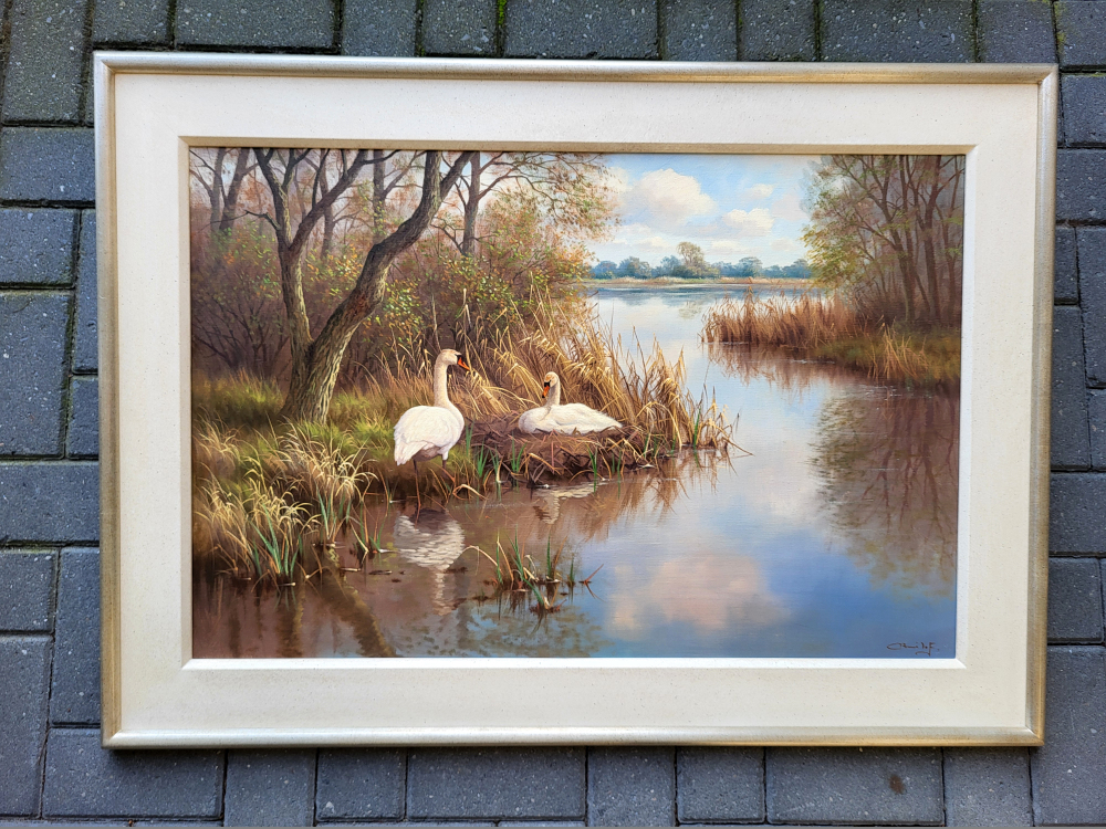 Ron Meilof, zwanen aan de bosrand, olieverf op linnen, afmeting 60x90cm doekmaat, afmeting inclusief lijst 80x110cm, 1350,- euro, nr. 2